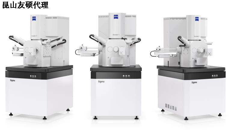 南岸南岸蔡司扫描电镜